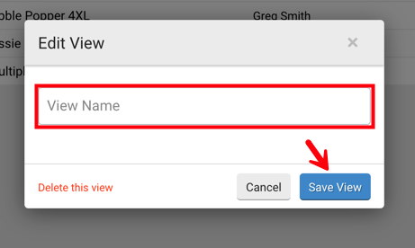 Edit View pop-op. Red box highlights the ​​View Name​ field and arrow points to ​Save View button.