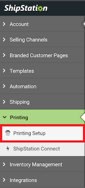 The Printing dropdown menu with the Printing Setup option marked.
